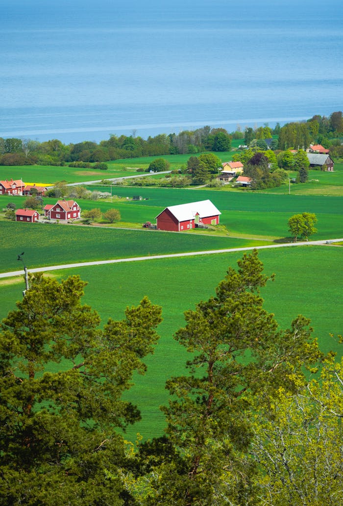 Picturesque landscape of Jönköpings län, Sweden featuring red barns, lush greenery, and a serene backdrop.